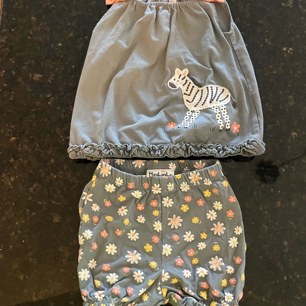 Kids Gray Zebra Skirt and Floral Shorts Set